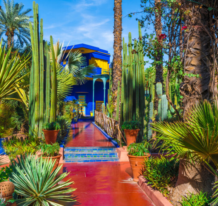 8 days in the desert of Morocco from Casablanca