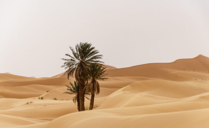 4 days Morocco tour from Fez to Marrakech