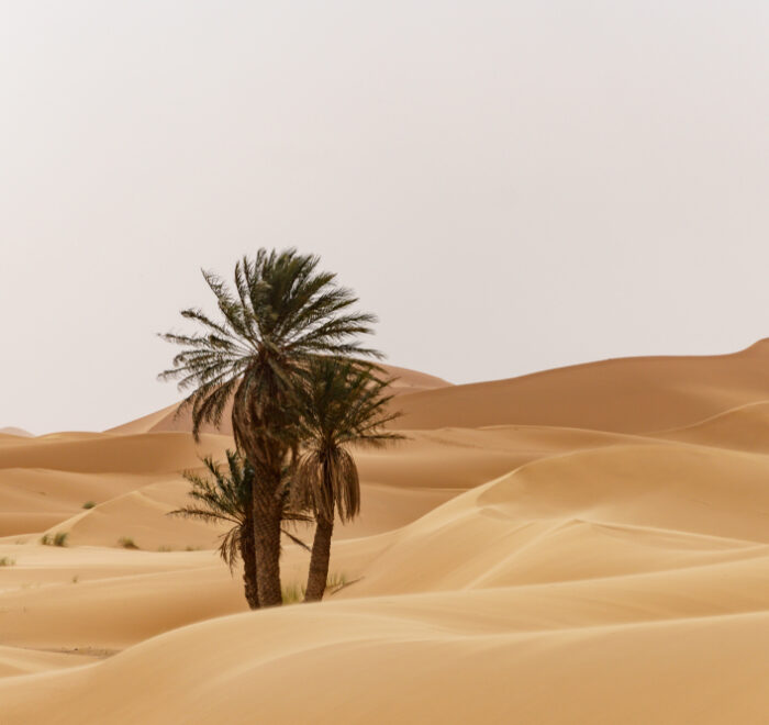 4 days Morocco tour from Fez to Marrakech