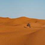 a lone tree in the middle of a desert