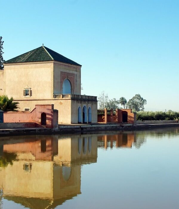 morocco, marrakech, nature, menara palace, water, reflections, travel