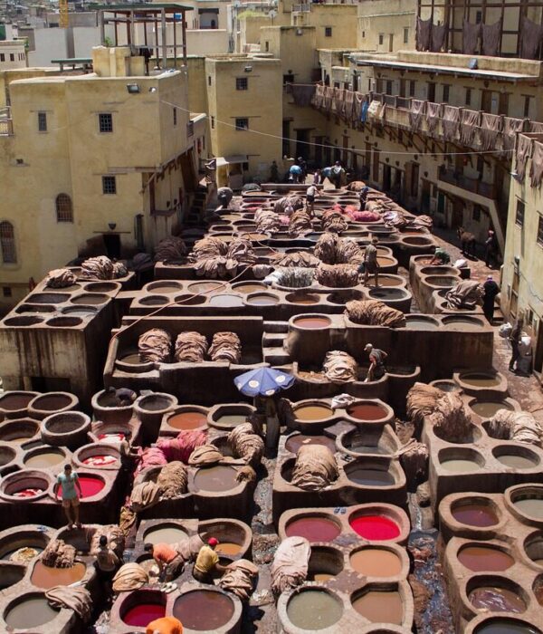 morocco, tannery, skin, fez, color, skins, smelly, craftsmen, moroccan, trip, africa, tourism, city, tanning, labor, fes, morocco, morocco, fez, fez, fez, fez, fes, fes, fes, fes, fes