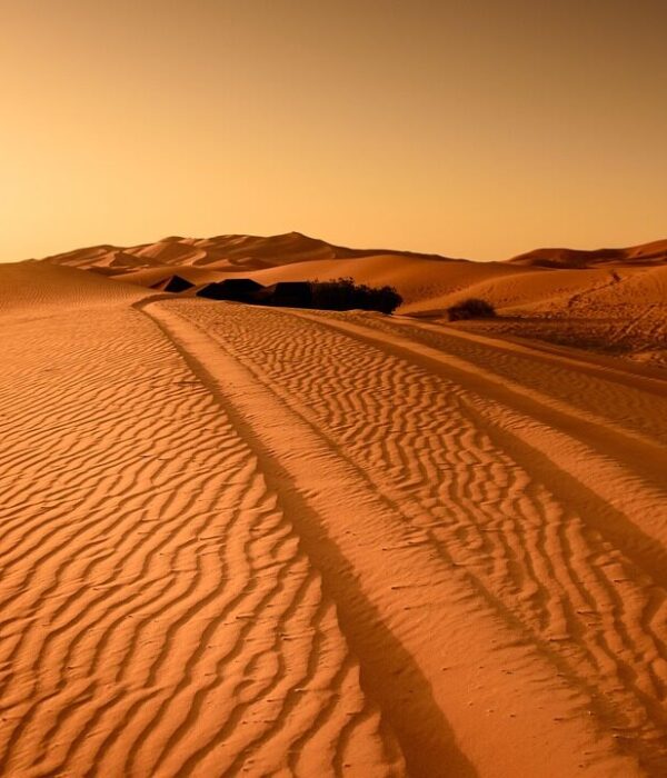 Arenas Doradas del Desierto Marroquí