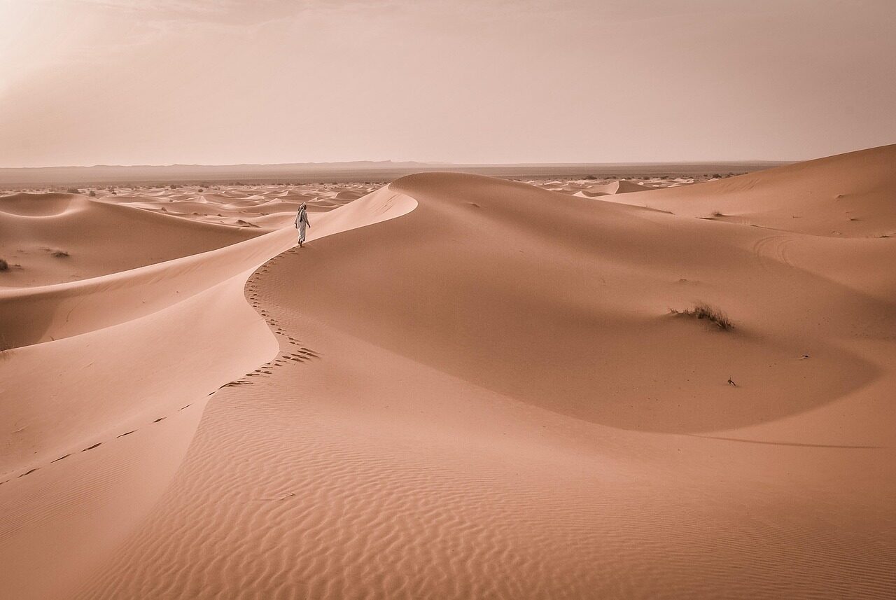 barren, desert, dune, hot, landscape, nature, sand, barren landscape, barren land, sand dunes, travel, sahara, gobi, desert, desert, desert, desert, desert