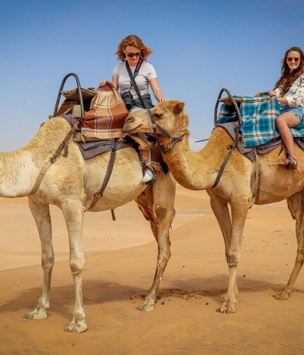 Camel Ride in Agadir Beach