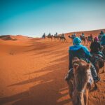 A group of people riding camels through the Sahara desert in Merzouga, Morocco at sunset.
