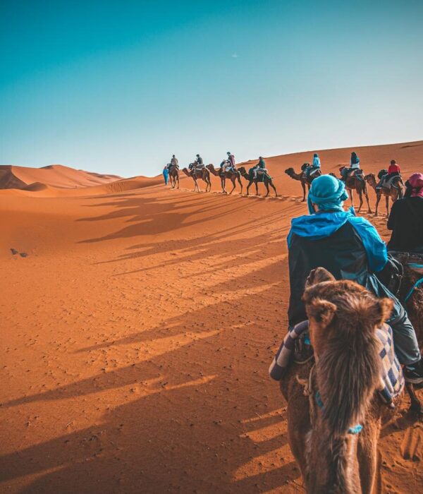 A group of people riding camels through the Sahara desert in Merzouga, Morocco at sunset.