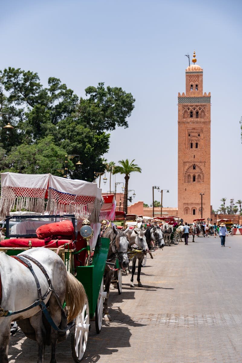 Historic Kutubiyya Mosque with horse-drawn carriages on a sunny day in Marrakesh.